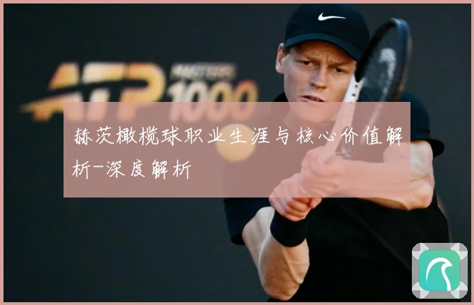 赫茨橄榄球职业生涯与核心价值解析-深度解析