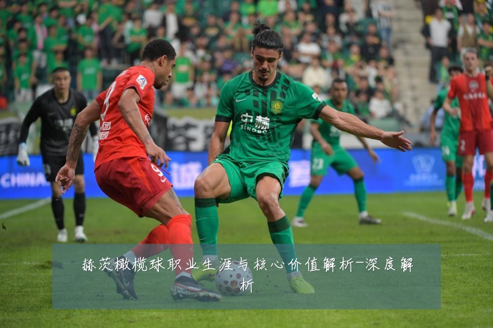 赫茨橄榄球职业生涯与核心价值解析-深度解析